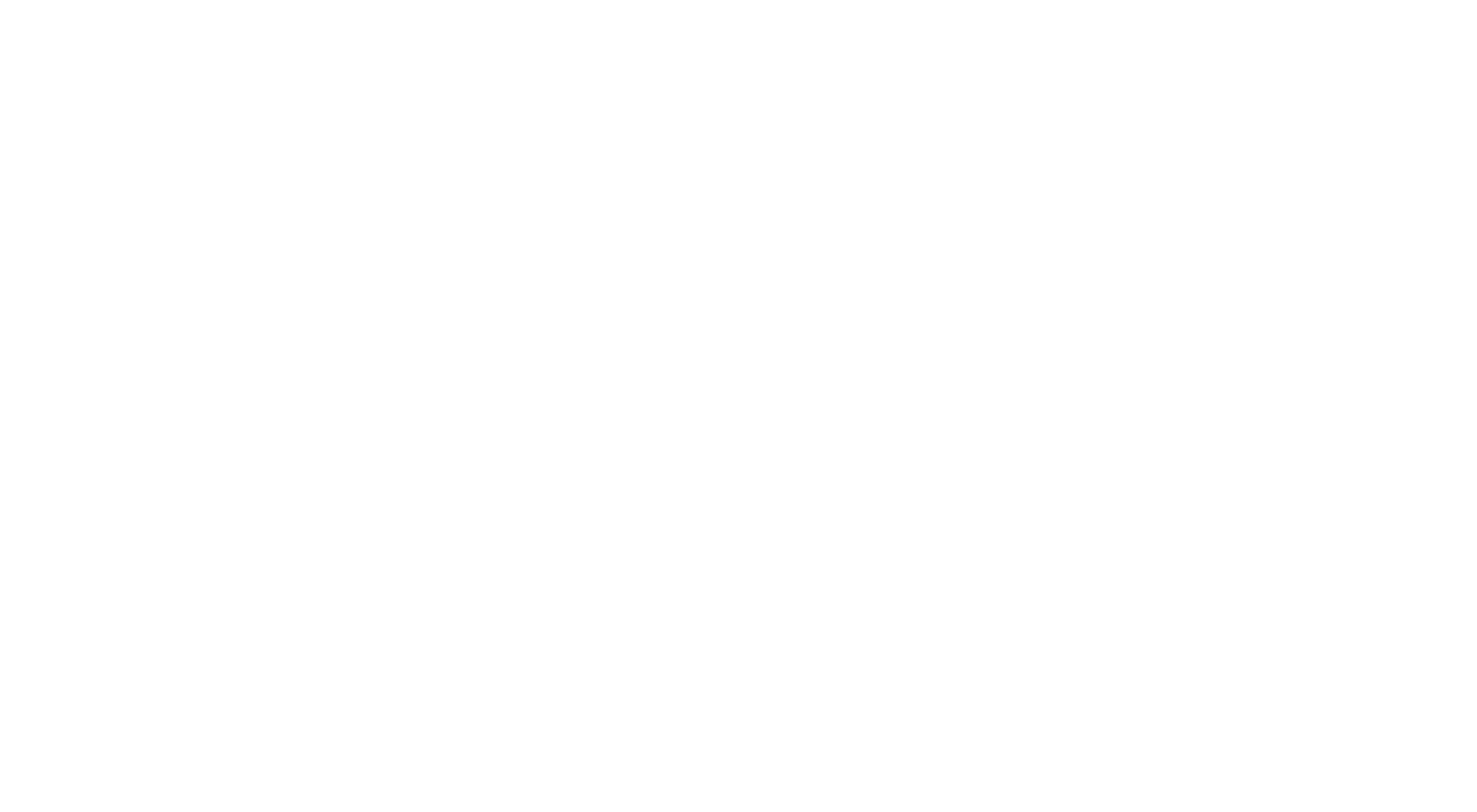 Programi Tech white logo