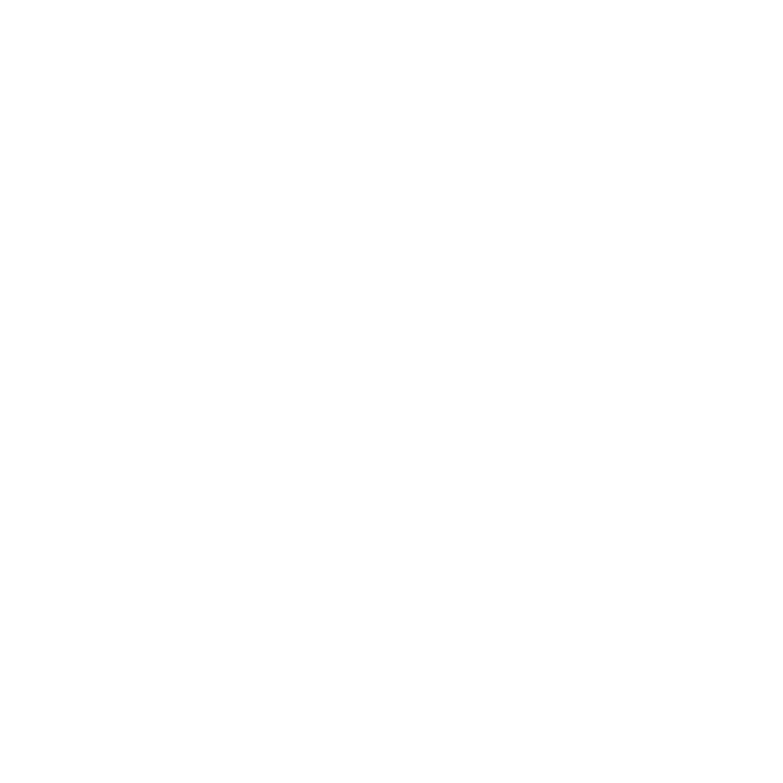 programi-tech-logo