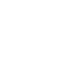 online-store icon